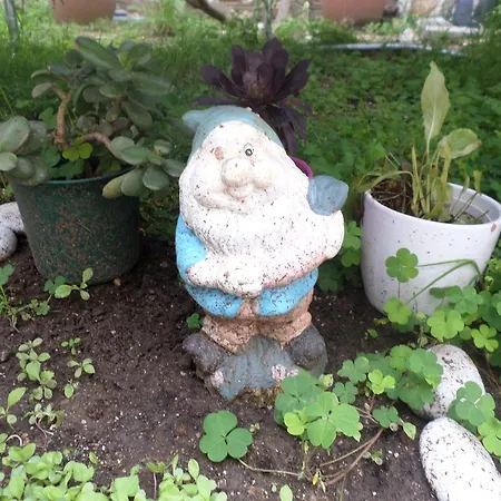 Dada 두브로브니크