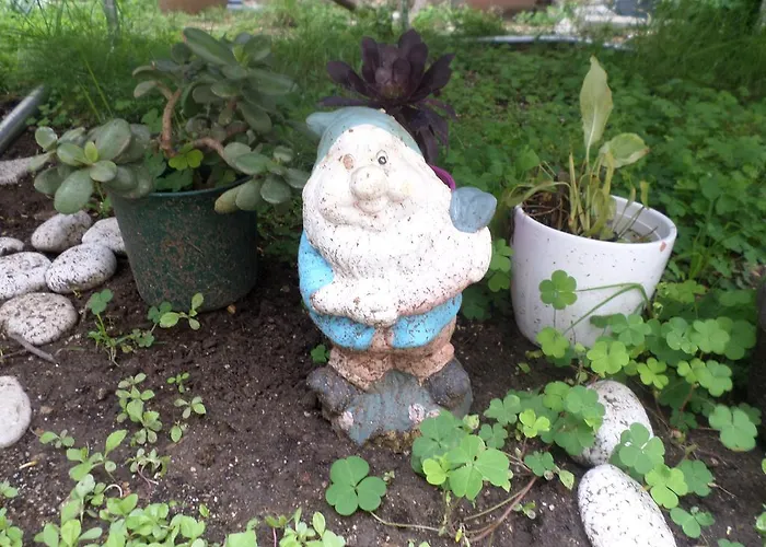 다다 두브로브니크